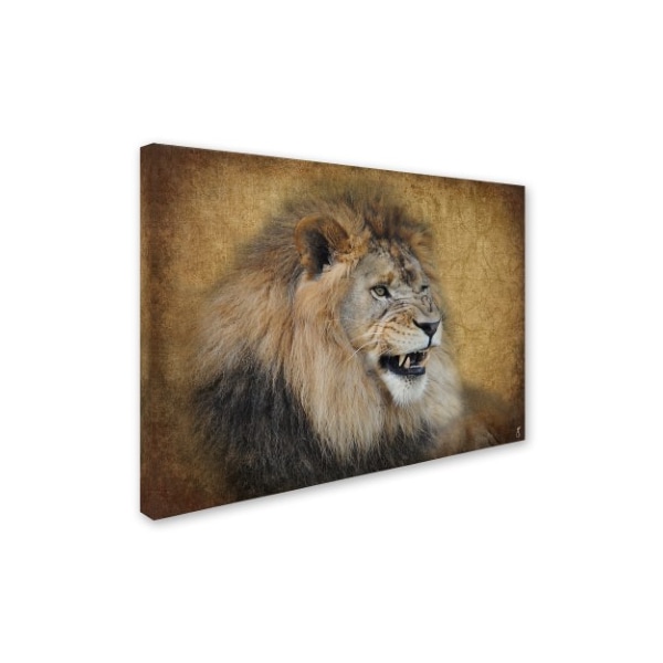 Jai Johnson 'Snarling Male Lion Portrait' Canvas Art,24x32